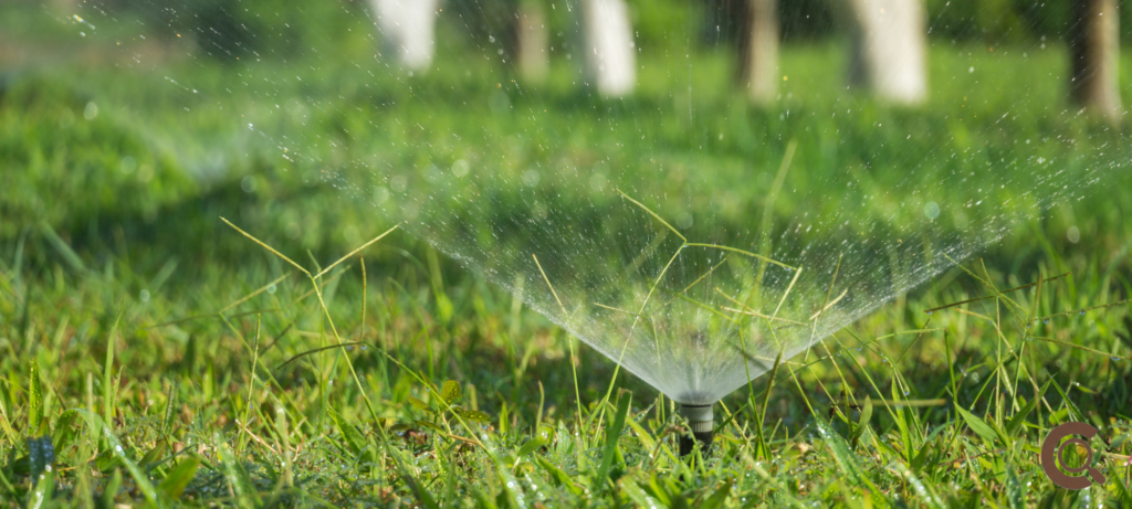 Water Conservation Techniques in Modern Farming